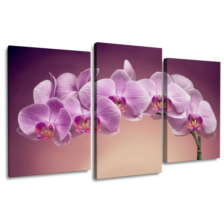 Модульная картина "Веточка орхидеи" 100х60 S479