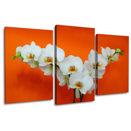 Модульная картина "Веточки орхидеи на оранжевом" 100х60 S473