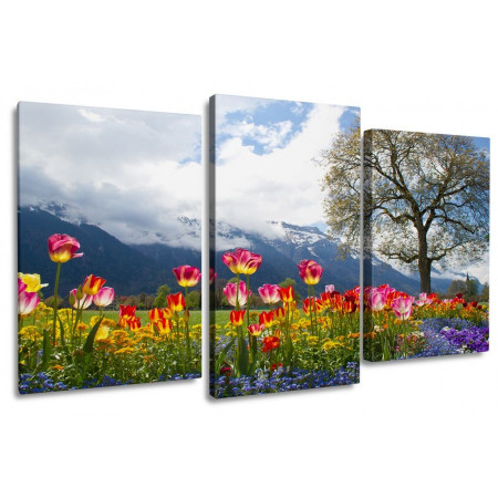 Модульная картина "Тюльпаны на лужайке" 100х60 S455