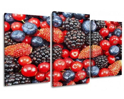 Модульная картина "Ароматные ягоды" 100х60 S405