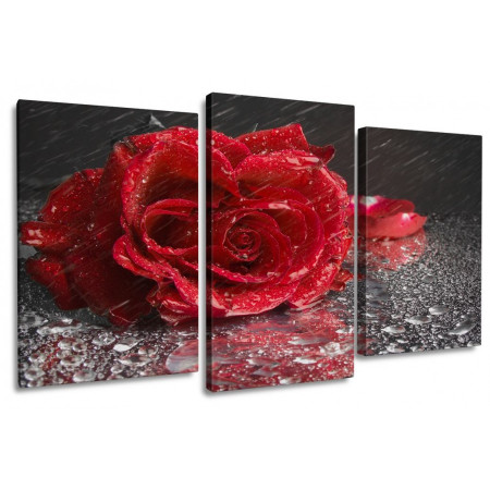 Модульная картина "Роза под дождем" 100х60 S365