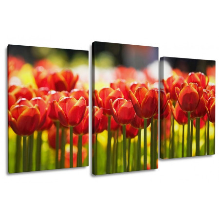 Модульная картина "Тюльпаны в лучах солнца" 100х60 S361