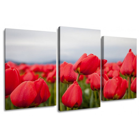 Модульная картина "Красные тюльпаны"  100х60 S307
