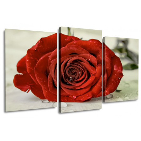 Модульная картина "Красная роза" 100х60 S305