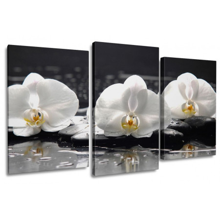 Модульная картина "Белые орхидеи на черных камнях" 100х60 S303
