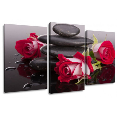 Модульная картина "Розы и камни" 100х60 S301