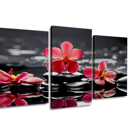 Модульная картина "Красные орхидеи на воде" 100х60 S274
