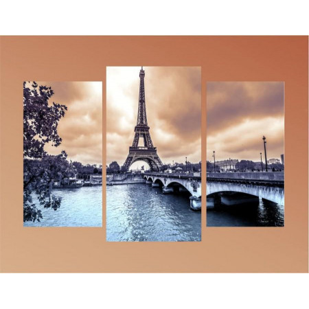 Модульная картина "Пасмурный день в Париже" 60х80 ТР1733