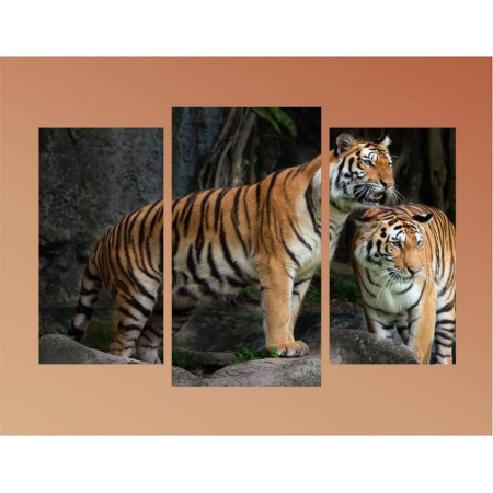 Модульная картина "Два тигра" 60х80 ТР1724