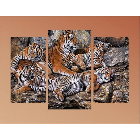 Модульная картина "Много тигров" 60х80 ТР1686