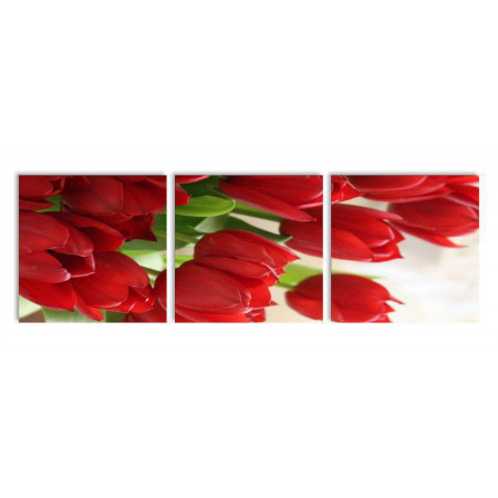 Модульная картина "Букет красных тюльпанов" 35х110 N387