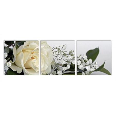 Модульная картина "Нежная белая роза" 35х110 N357
