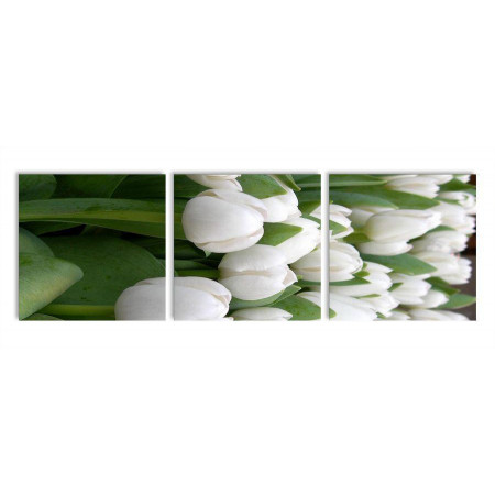 Модульная картина "Букет белых тюльпанов" 35х110 N350