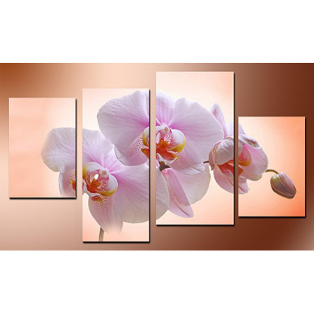 Модульная картина "Нежная орхидея" 80х130 чт577