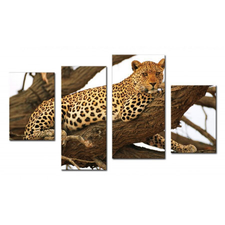 Модульная картина "Леопард на дереве" 80х130 чт536
