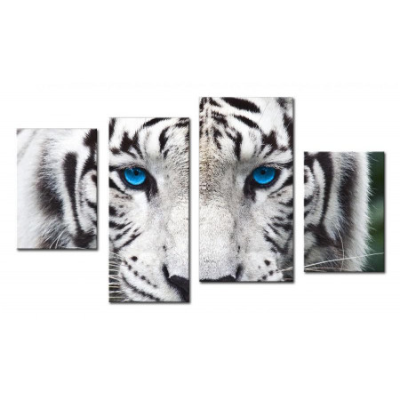 Модульная картина "Голубоглазый тигр" 80х130 чт531