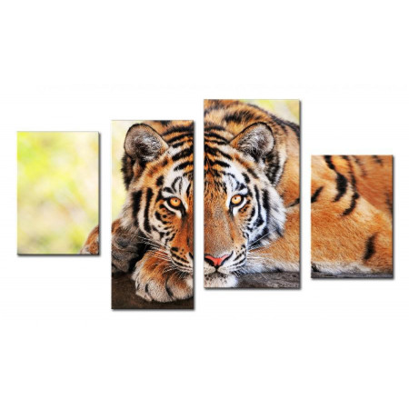 Модульная картина "Взгляд тигра" 80х130 чт530