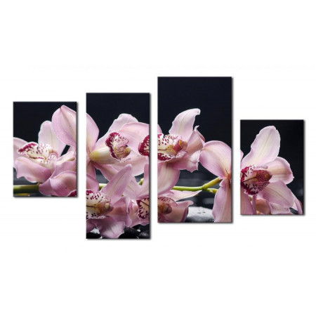 Модульная картина "Ветка сиреневой орхидеи" 80х130 чт451