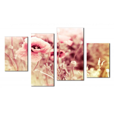 Модульная картина "Нежные розовые маки" 80х130 чт421