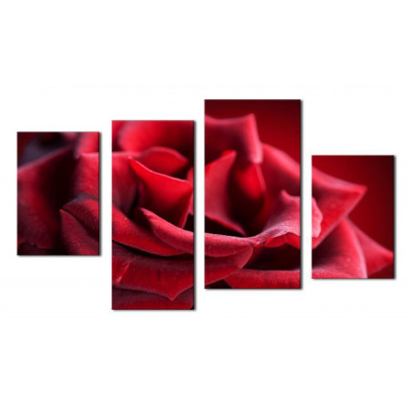 Модульная картина "Нежная красная роза" 80х130 чт419