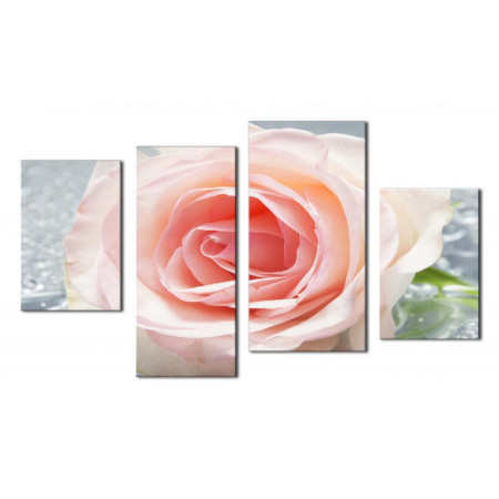 Модульная картина "Хрупкая роза" 80х130 чт410