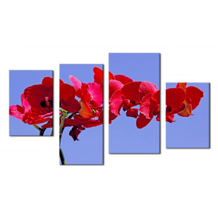 Модульная картина "Красная орхидея на голубом фоне" 80х130 чт406