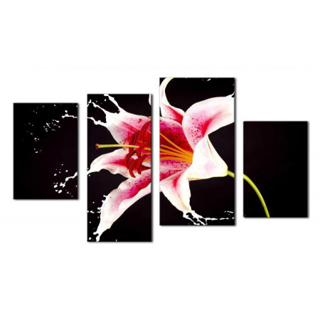 Модульная картина "Розовая лилия брызги" 80х130 чт394