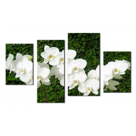 Модульная картина "Веточки белых орхидей" 80х130 чт388