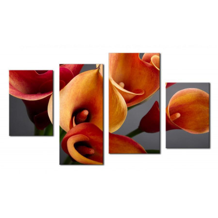 Модульная картина "Оранжево-красные Каллы на сером фоне" 80х130 чт386