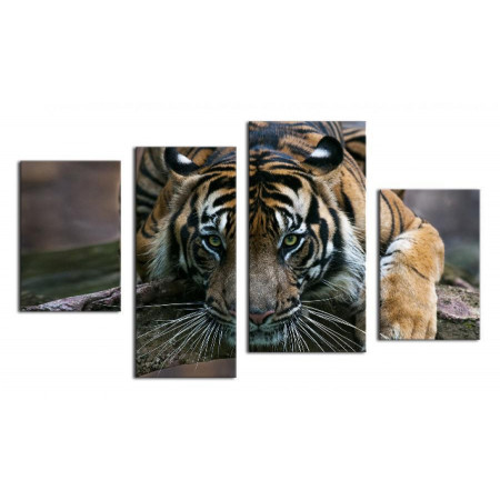 Модульная картина "Тигр с зелеными глазами" 80х130 чт366