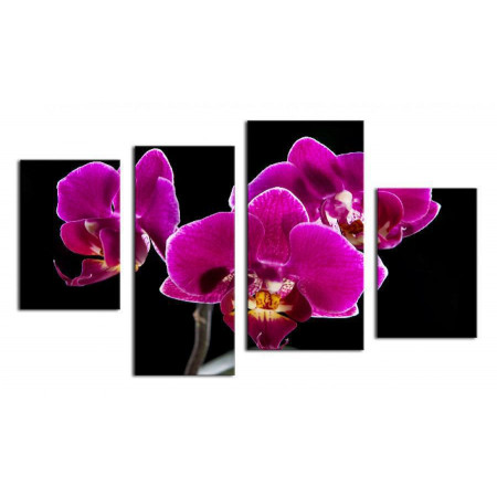 Модульная картина "Божественные орхидеи" 80х130 ЧТ333