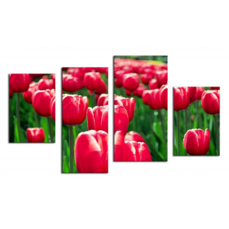 Модульная картина "Долина розовых тюльпанов" 80х130 ЧТ298