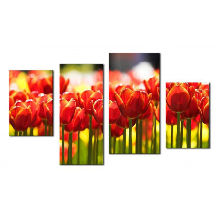 Модульная картина "Тюльпаны в лучах солнца" 80х130 ЧТ248