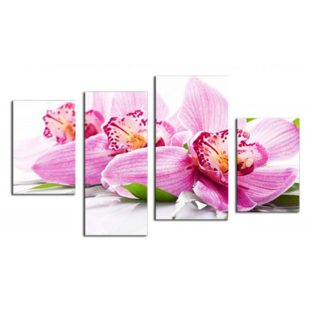Модульная картина "Нежные цветки орхидеи" 80х130 ЧТ235