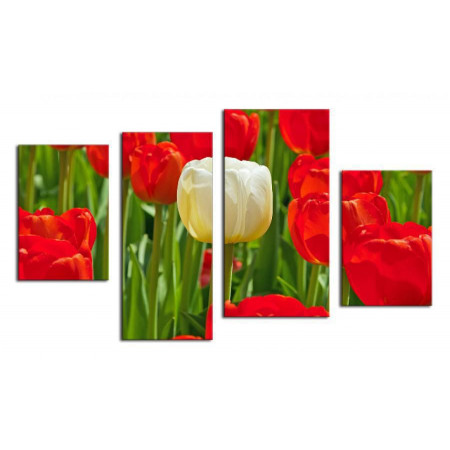 Модульная картина "Белый тюльпан с красными" 80х130 ЧТ207