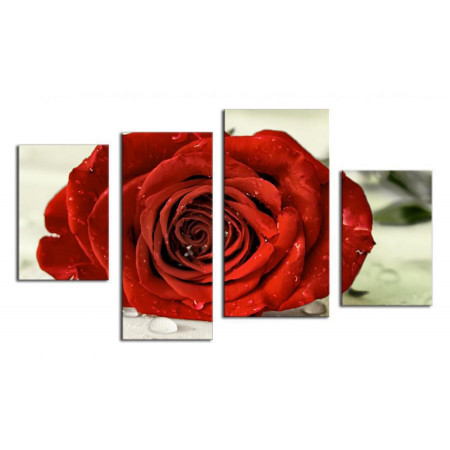 Модульная картина "Красная роза" 80х130 ЧТ206