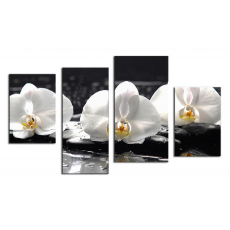 Модульная картина "Белые орхидеи на черных камнях" 80х130 ЧТ205