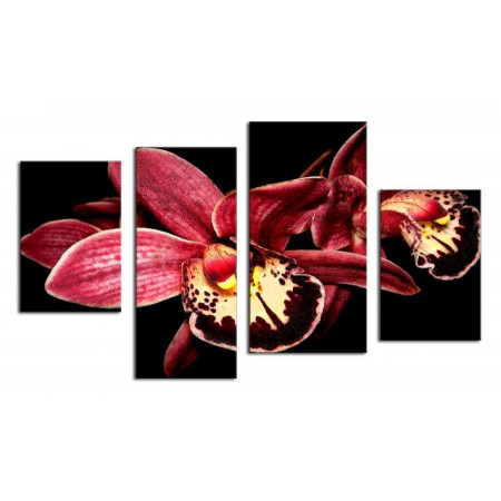 Модульная картина "Бордовая орхидея" 80х130 ЧТ45