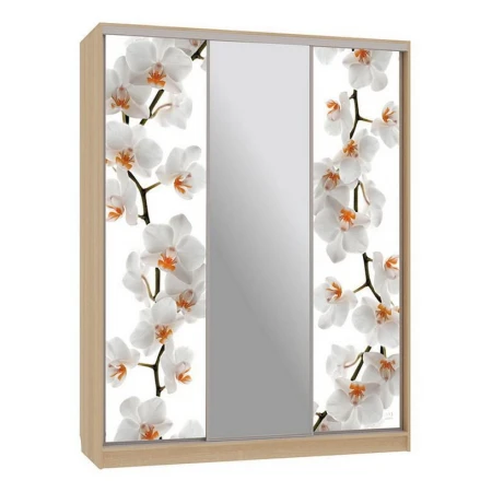 Шкаф-купе Бассо 10-600 83