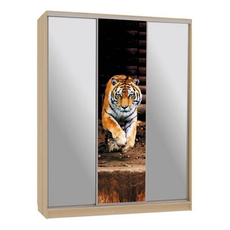 Шкаф-купе Бассо 9-600 87