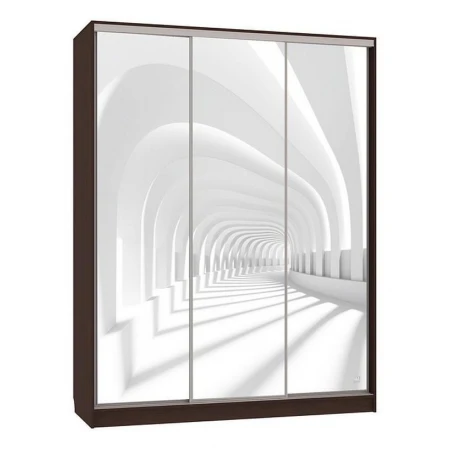 Шкаф-купе Бассо 7-600 58