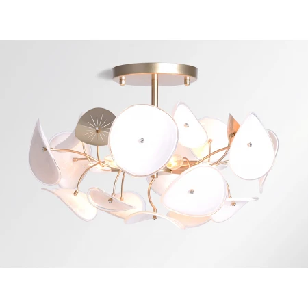 5221/6X CHAMPAGNE GOLD (1) Люстра NW 