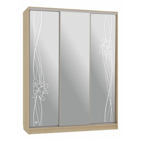 Шкаф-купе Бассо 4-600 волны 2