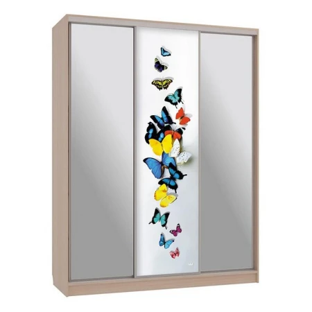 Шкаф-купе Бассо 9-600 88