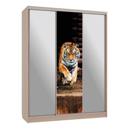 Шкаф-купе Бассо 9-600 87