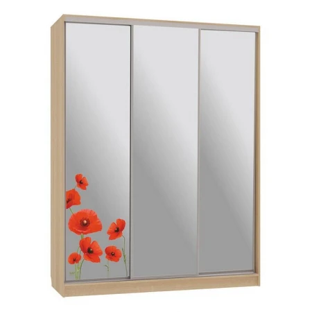 Шкаф-купе Бассо 4-600 маки