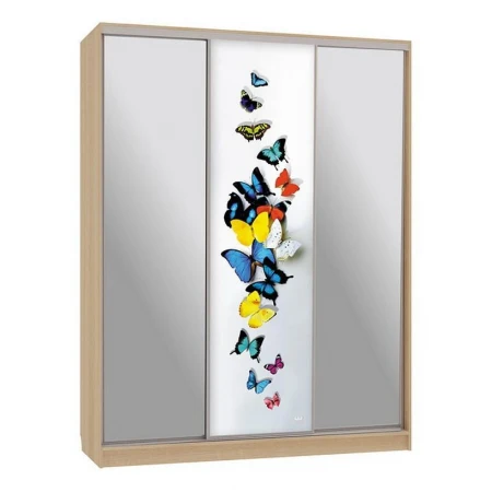 Шкаф-купе Бассо 9-600 88