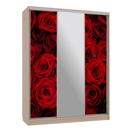 Шкаф-купе Бассо 10-600 89