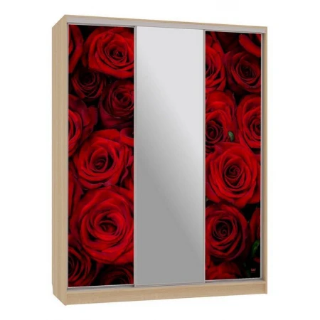 Шкаф-купе Бассо 10-600 89