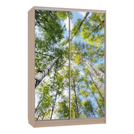 Шкаф-купе Гранд 7-600 57